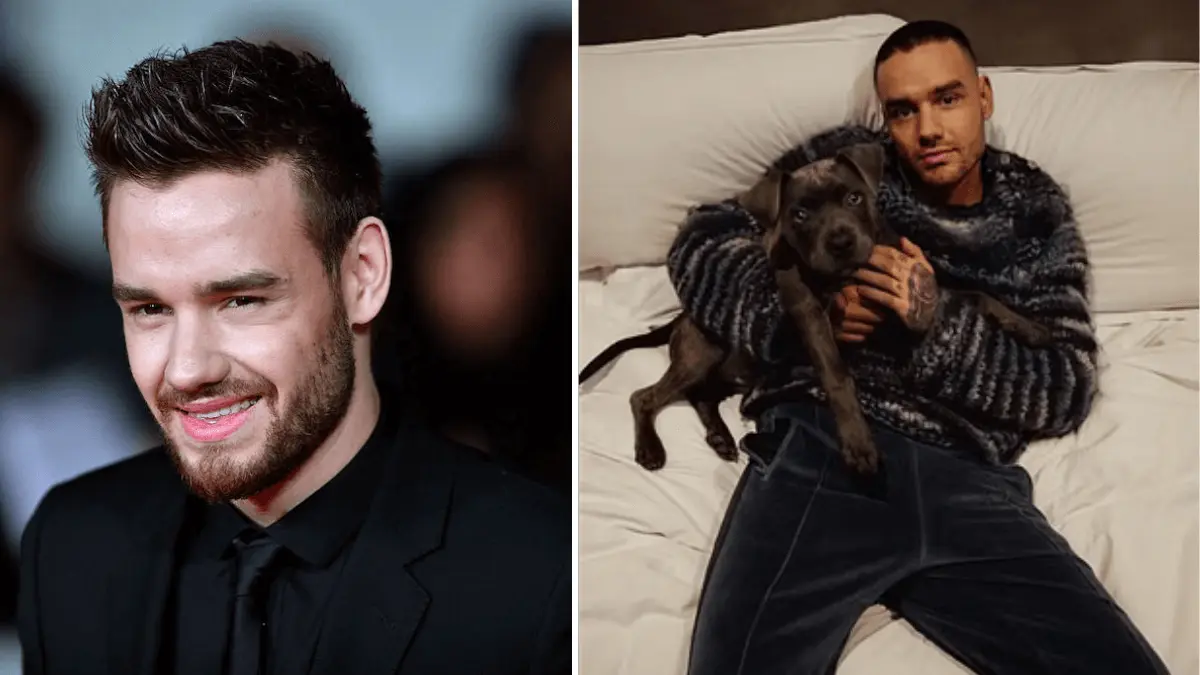 Liam Payne Dead: सामने आया मौत के पीछे के कारण, ड्रग और शराब